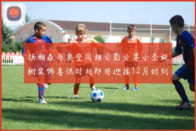 杨瀚森与奥登同框合影分享小圣诞树装饰喜悦时刻即将迎接12月的到来