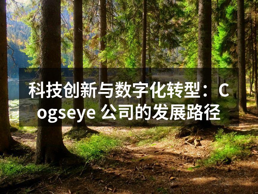 科技创新与数字化转型：Cogseye 公司的发展路径